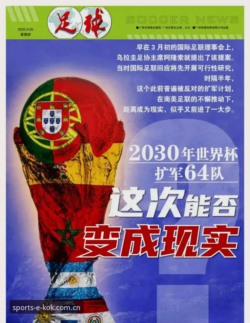 2030世界杯扩军66队实用指南：中国男足参赛机会与观赛必备知识